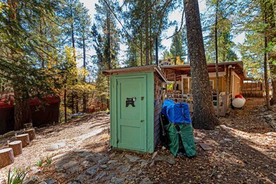 4 Slough Path, Cloudcroft, NM 88317 - photo 5