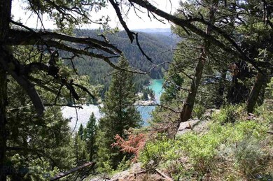 view through the trees down to Wade Lake