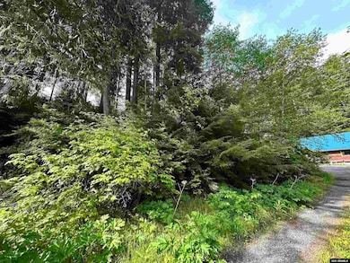 100 Yakobi Way, Sitka, AK 99835 - photo 6