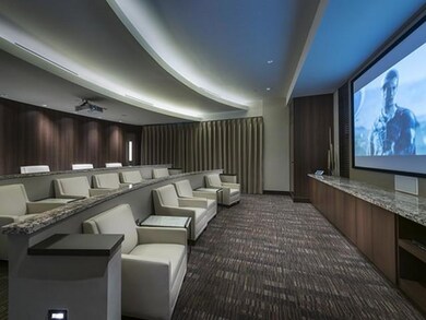 Cinema featuring dark colored carpet