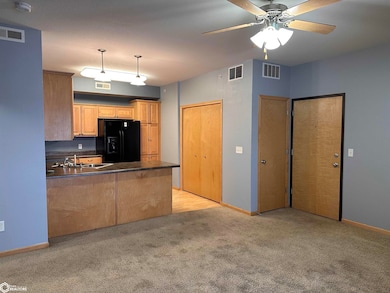 1092 Walnut Ave unit 209, Riverside, IA 52327 - photo 6