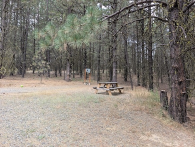 70 Price Loop, Cascade, ID 83611 - photo 4