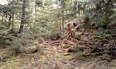 20170514_130632