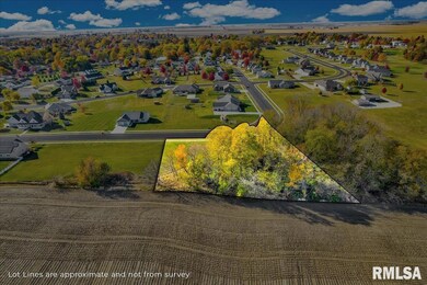 00 N Hickory Run, Elmwood, IL 61529 - photo 5