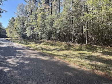 12 Acres Bruhl Rd, Folsom, LA 70437 - photo 5