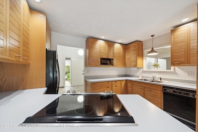 15-3708-David-Ln-Lansing-MI-48911-Window
