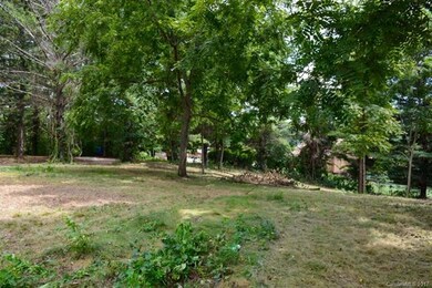 9999 Panorama Dr, Asheville, NC 28806 - photo 2