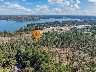 Lot 3 Pintail Dr, Flint, TX 75762 - photo 7