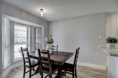 8614 Twisting Vine Ln, Houston, TX 77040 - photo 4