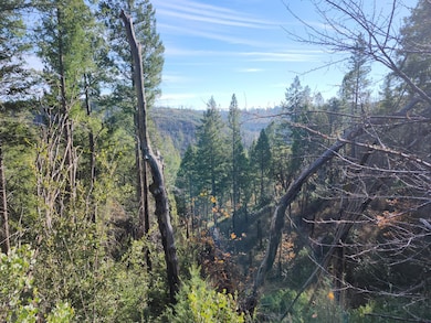 1196 Doe Rd, Rail Road Flat, CA 95245 - photo 2