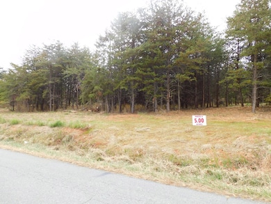 5 (P6) Brights Rd, Gretna, VA 24557 - photo 3