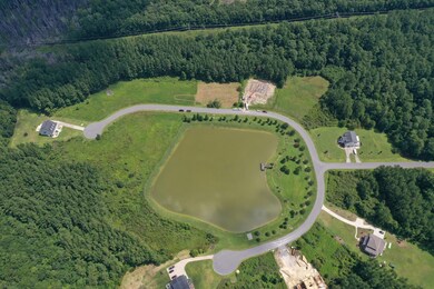1327 Wood Sorrel overhead full lake