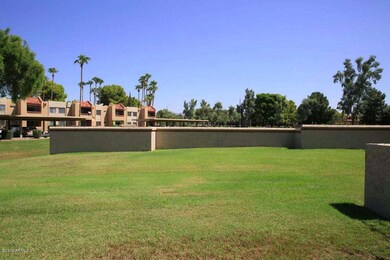 Your New Backyard