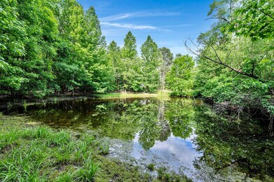 LOT 3 Shoreside at Sipsey, Double Springs, AL 35553 - photo 4
