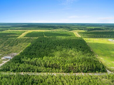 2-web-or-mls-DJI_0920