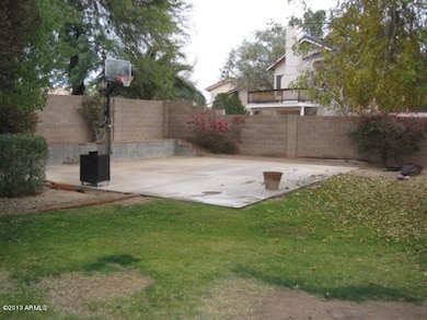 Basket Ball Court