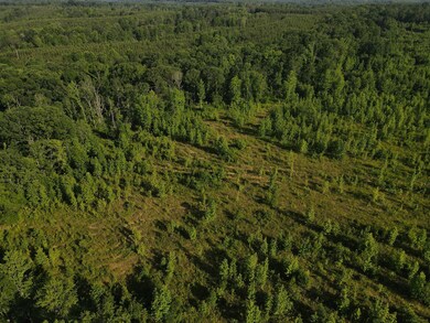 0 Old Highway 18 unit RTC2558184, Stewart, TN 37175 - photo 5