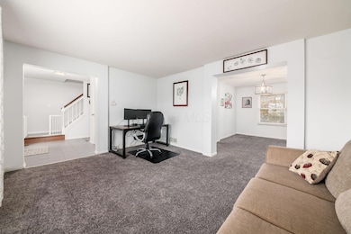 010_t Grove City OH 43123 USA