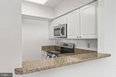 Skyline Square North and South unit 912N, Baileys Crossroads, VA 22041 - photo 4