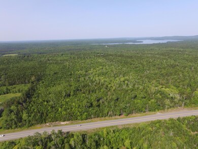 Wooded parcel on west side of Route 1