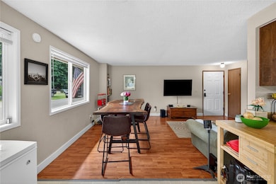 11217 N Skagit St, Burlington, WA 98233 - photo 5