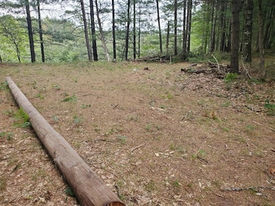 00 Parkside Ave, Yates Township, MI 49642 - photo 5