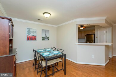 13201 Cloppers Mill Dr unit 11-F, Germantown, MD 20874 - photo 3