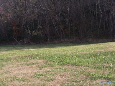 2176 U S Highway 31, Pulaski, TN 38478 - photo 5