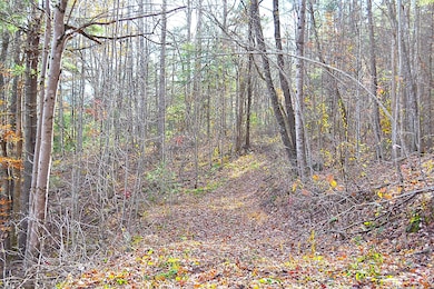 Trail View