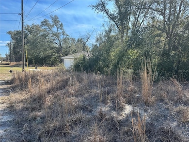 Lot 5 SW 108th St, Dunnellon, FL 34432 - photo 4