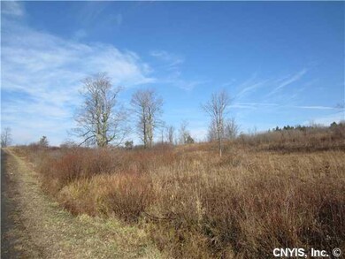 Land Looking from road Northward (road runs North-