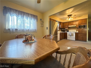 4651 Warwick Dr S, Canfield, OH 44406 - photo 5