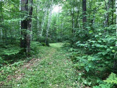GROOMED ROAD