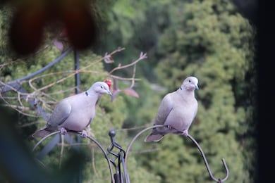 214 NW Creekside Dr, Grants Pass, OR 97526 - photo 3