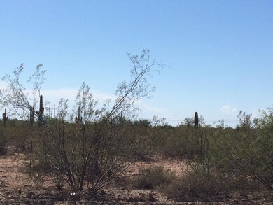 Lots of Land