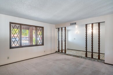 Sunken Living Room