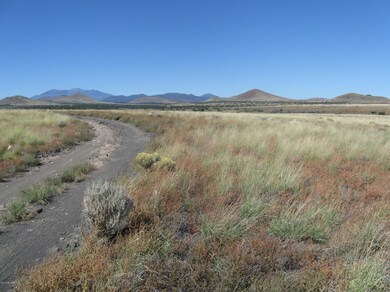 17-040 Alpine Ranch, Flagstaff, AZ 86004 - photo 2