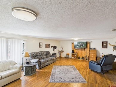 63645 Highway 491, Dove Creek, CO 81324 - photo 6