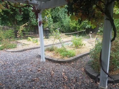 denton grape arbor garden
