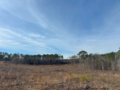 0 Old Middleton Rd unit 22775401, Elberton, GA 30635 - photo 3