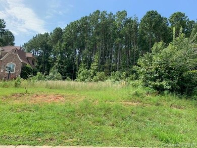 Plenty of room to build your dream home!