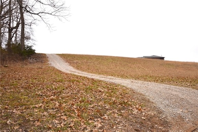 100 River Run Rd, Eureka Springs, AR 72632 - photo 7