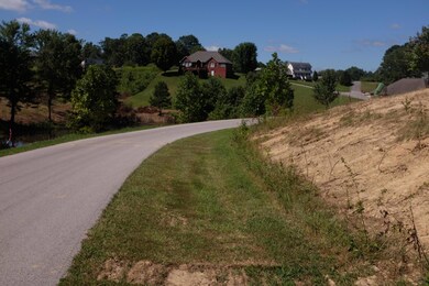 60 Green Cove Dr, London, KY 40744 - photo 6