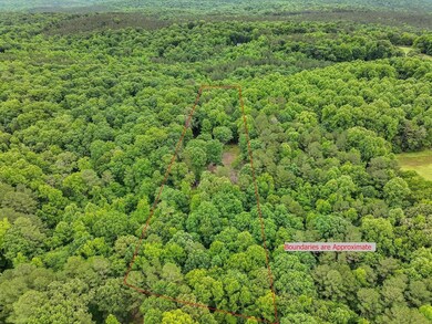 390 New Salem Church Rd, Pittsboro, NC 27312 - photo 3