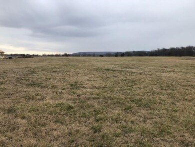 22.83 AC Hindman Dr, Prairie Grove, AR 72753 - photo 3