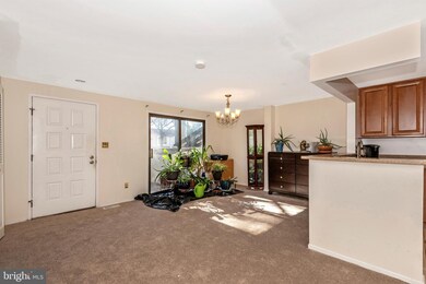 20217 Grazing Way, Montgomery Village, MD 20886 - photo 3