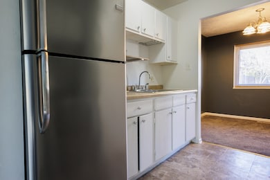 1119 S Curtis Ave unit F62, Kankakee, IL 60901 - photo 6