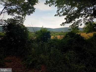 0 7 35 Acres Ash Ruckman Rd, Augusta, WV 26704 - photo 2