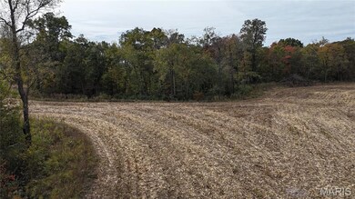 View of dirt / gravel road with a wooded view
