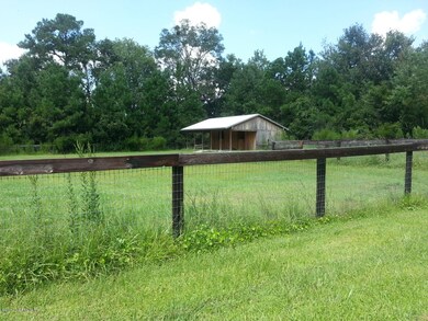 3284 Cardinal Ln, Middleburg, FL 32068 - photo 4